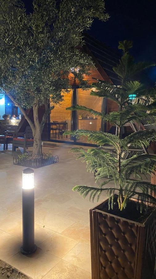 Olive Cottage Madaba Exterior photo